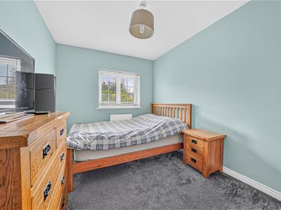 Picture 15